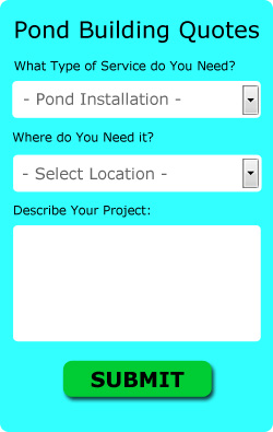 Free Canterbury Pond Installer Quotes