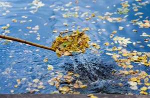 Pond Cleaning Beddington (020)
