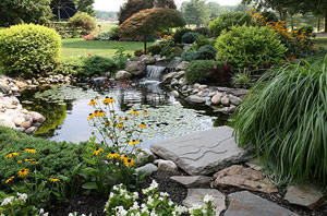 Pond Installer Leatherhead Surrey (KT22)