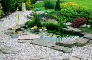 Pond Installers Ilford UK (020)