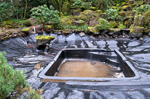 Pond Repair Leigh (WN7)