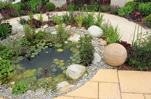 Pond Installer Rothwell