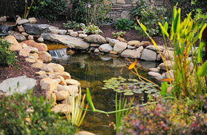 Pond Installer Whitwick Leicestershire (LE67)