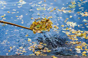 Pond Cleaning Stenhousemuir (Dialling code	01324)