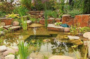 Pond Design Norwich