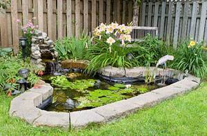 Pond Installers North Wingfield