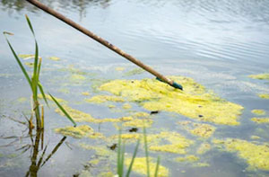 Pond Cleaning Otley (01943)