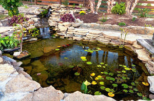 Pond Installer Romford